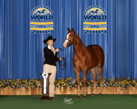 Justifiably Special PFWBFWM09