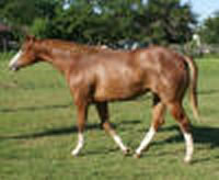 Clufoal5